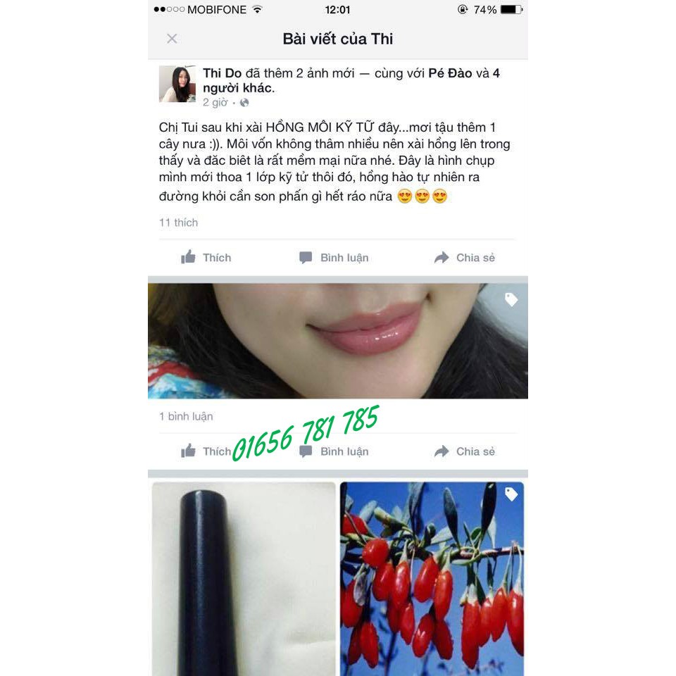 Son kỷ tử D'Vi nature dưỡng môi [Handmade] | BigBuy360 - bigbuy360.vn