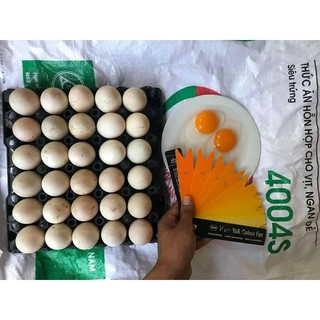 QUẠT SO MÀU TRỨNG VÀ CHÂN GÀ
