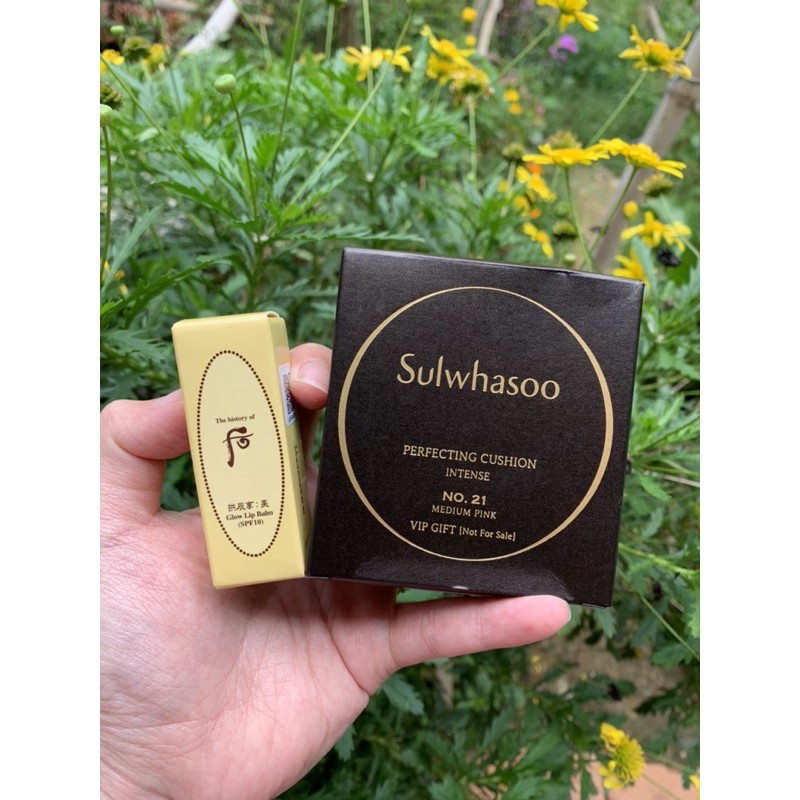 COMBO SON WHOO MINI VÀ CUSHION SUL MINI | BigBuy360 - bigbuy360.vn