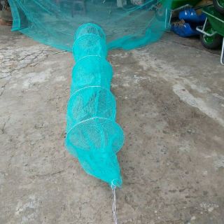 DỚN BẮT CÁ KHỔ LỚN - DỚN BẮT TÔM CÁ