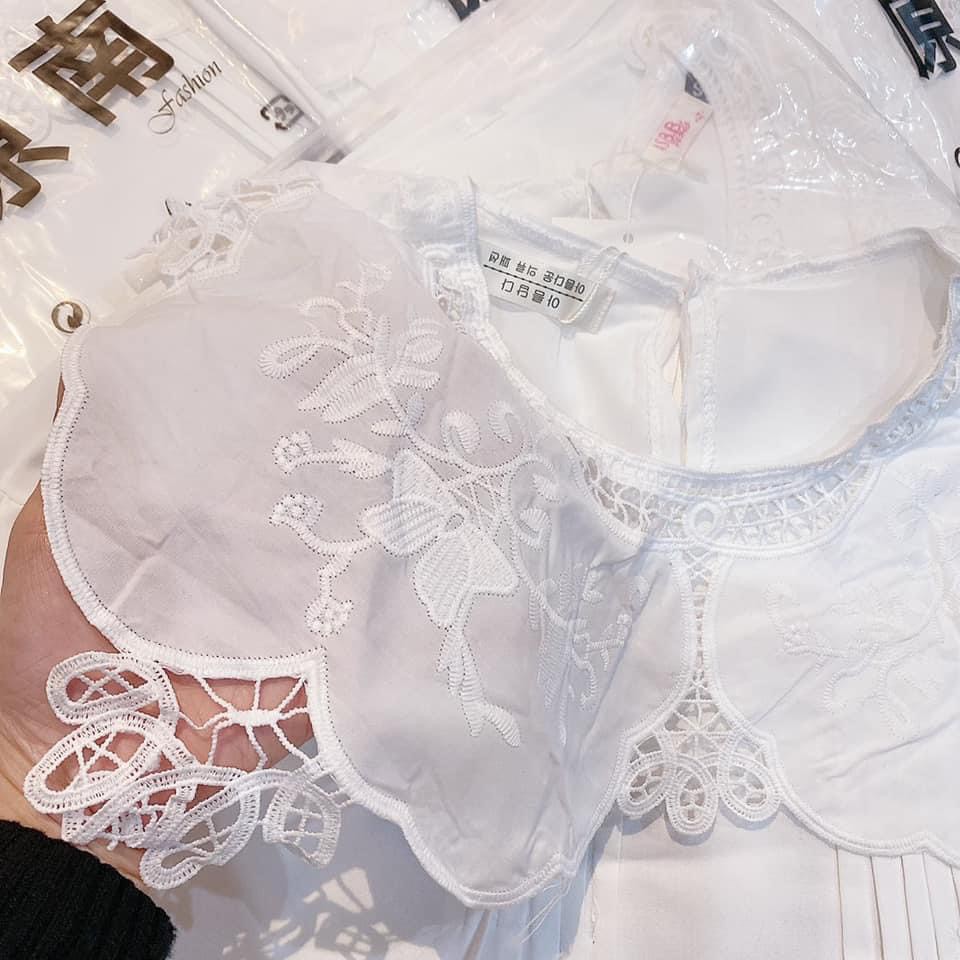 Sơ mi trắng trơn pha cổ bèo ren