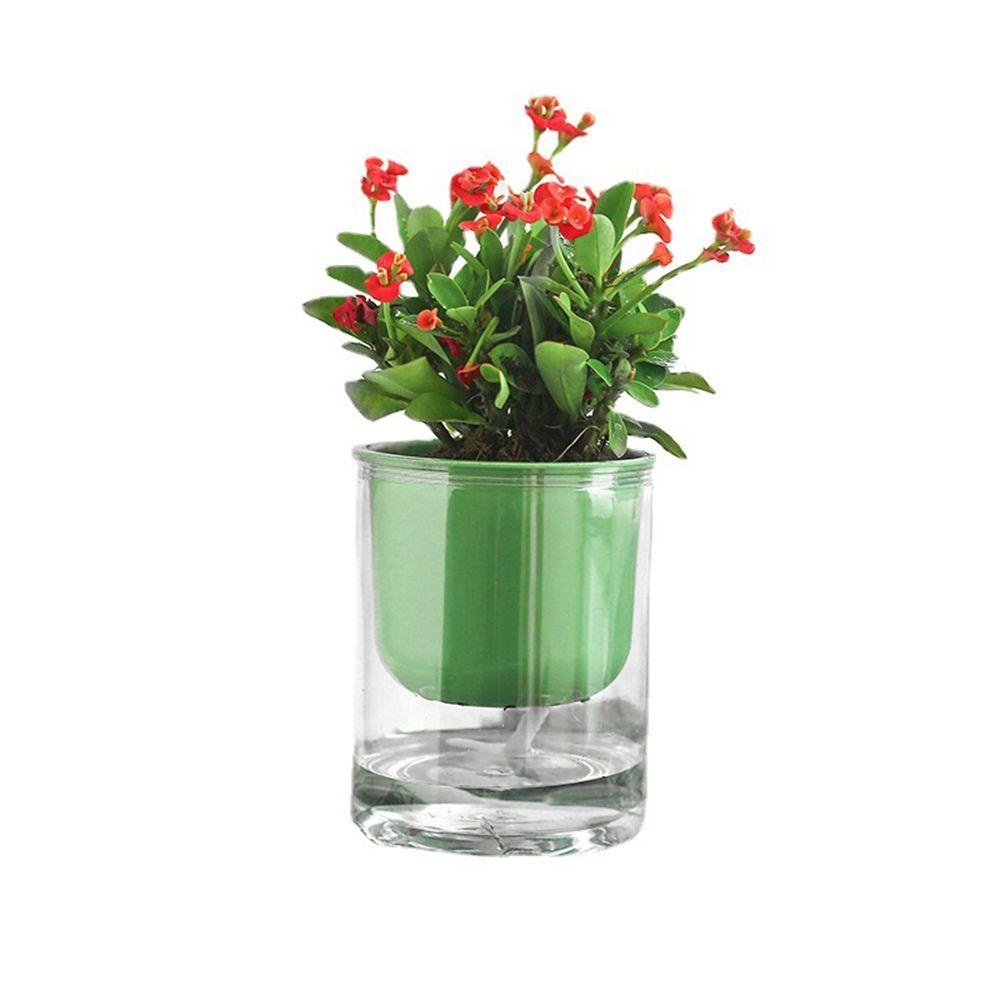 Chậu Hoa Mãi Mãi Thẳng|Thảm Chùi Chân Tự Động Thấm Hút Nước Sáng Tạo Màu Sắc