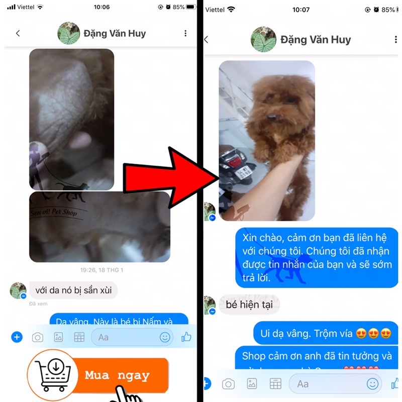 Sáp loại bỏ Ve rận, Ghẻ dành cho thú cưng