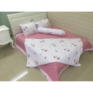 Bộ chăn ga gối đũi tơ tằm lông vũ