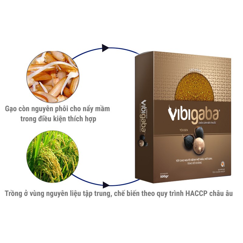 Gạo Mầm Vibigaba Tỏi Đen 1kg