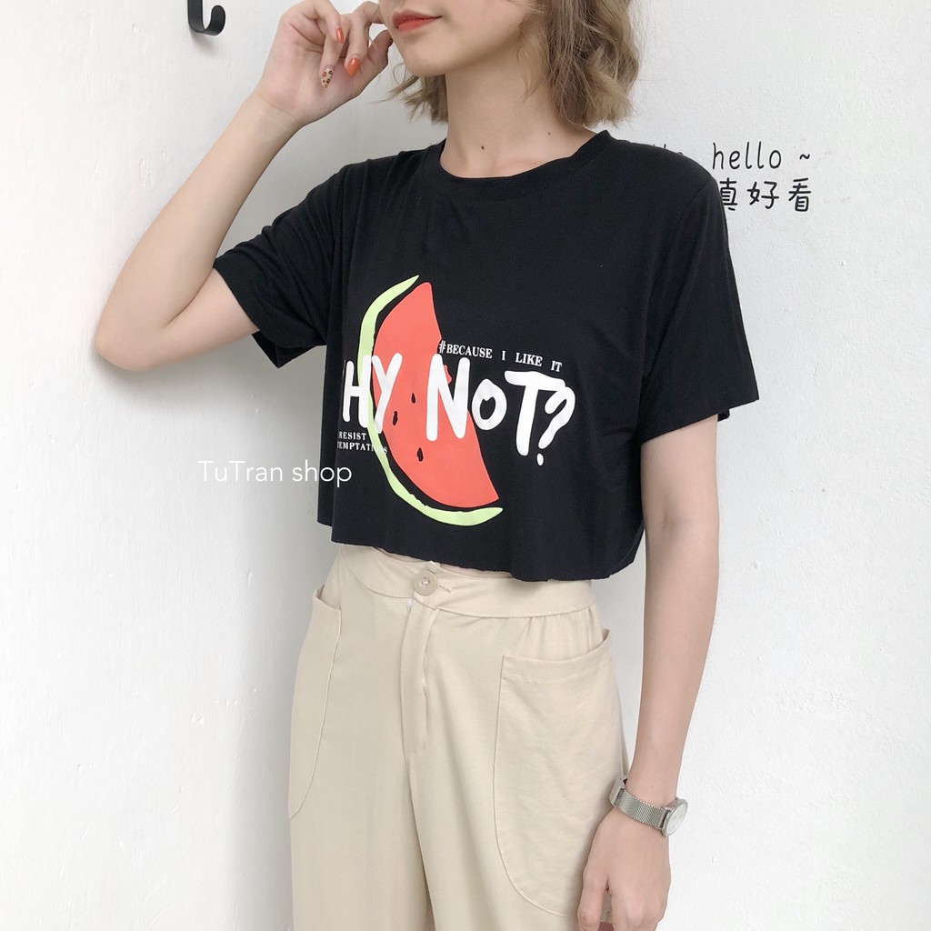 CROTOP  DƯA HẤU WHY NOT