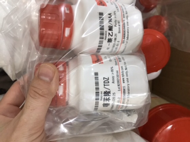 Hóa chất tinh khiết Naa 98% lọ 25g CAS 86-87-3 Naphthaleneacetic Aci.d NAA