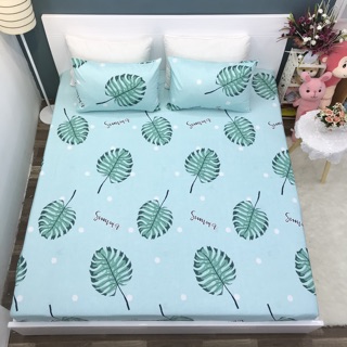Set ga gối cotton lụa -ảnh chụp thật