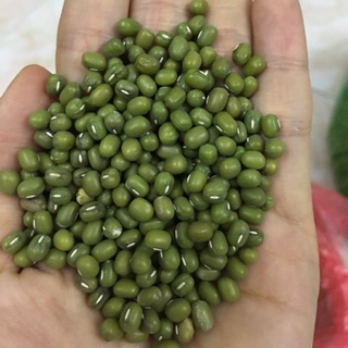 Đỗ xanh quê nguyên hạt loại 1: Thơm - Bở