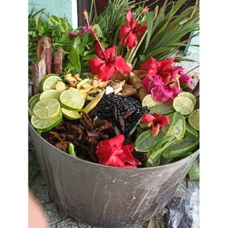 Dầu gội thảo mộc Cung Đình