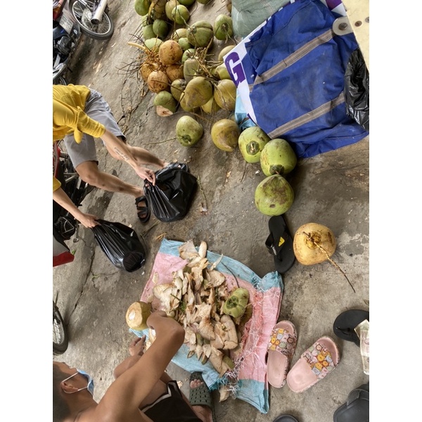 dừa xiêm bến tre
