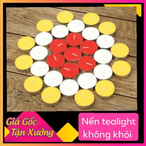 Nến tealight bông mai trắng