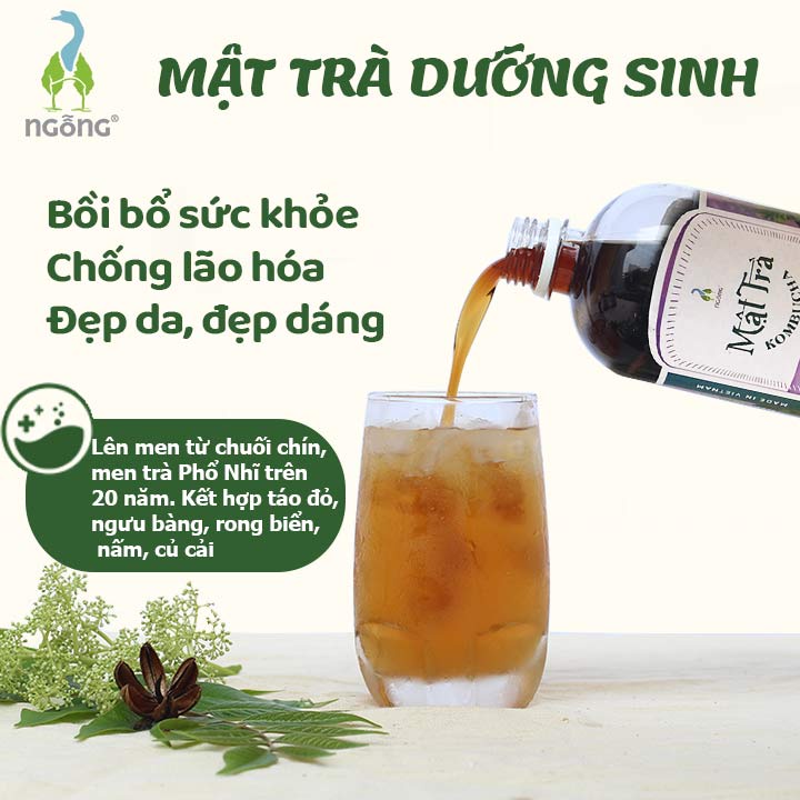 Mật Trà Kombucha Dưỡng Sinh 100ml