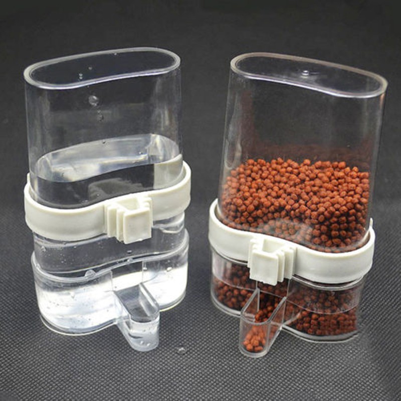 Cóng uống nước nhựa cho chim