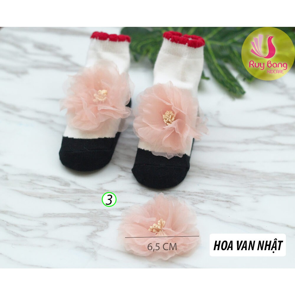 Hoa voan nhật