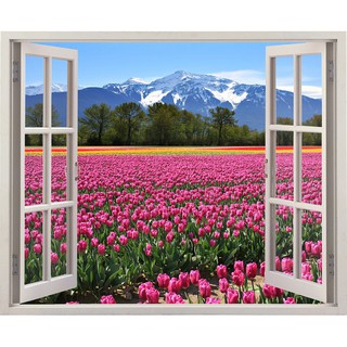Tranh dán tường cửa sổ HD Cánh đồng hoa tulip CS-0081 Kim sa