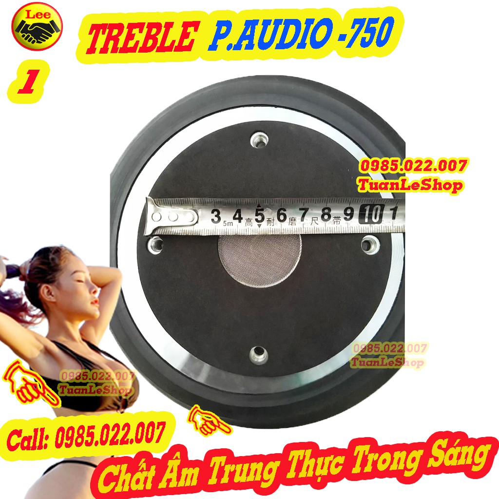 LOA TRÉP P.AUDIO 750 + 01 TỤ 2,2MF 400V -TREBLE 750 - Giá 01 CHIẾC