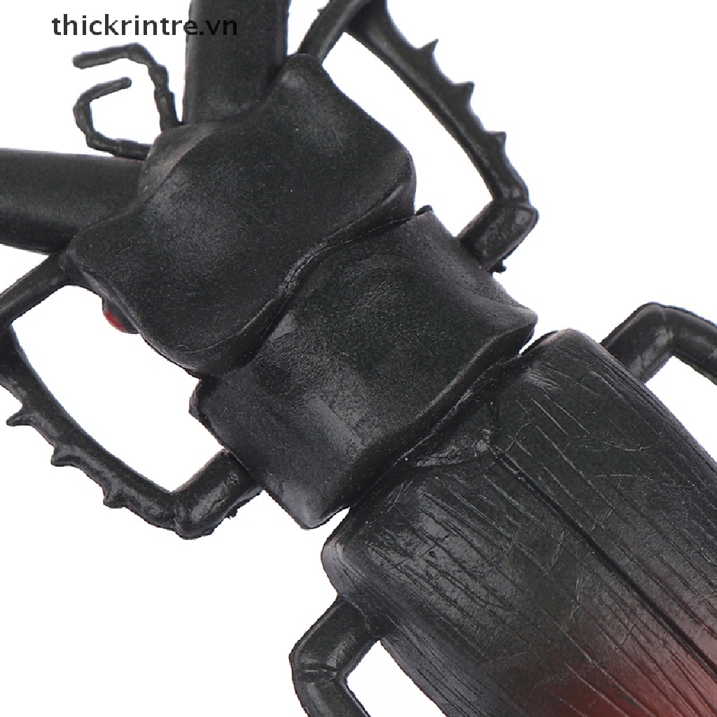 Đồ chơi mô hình bọ cánh cứng sáng tạo dùng dạy học cho bé