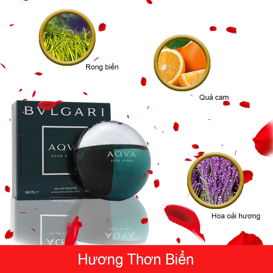 Nước Hoa Nam Bvlgari Aqva Pour Homme Chai 10ml