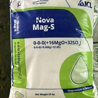 Epsom nhập khẩu isarel (2kg)