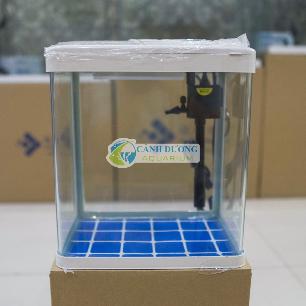 Hồ Cá Mini Để Bàn XS-260 (Combo đầy đủ)
