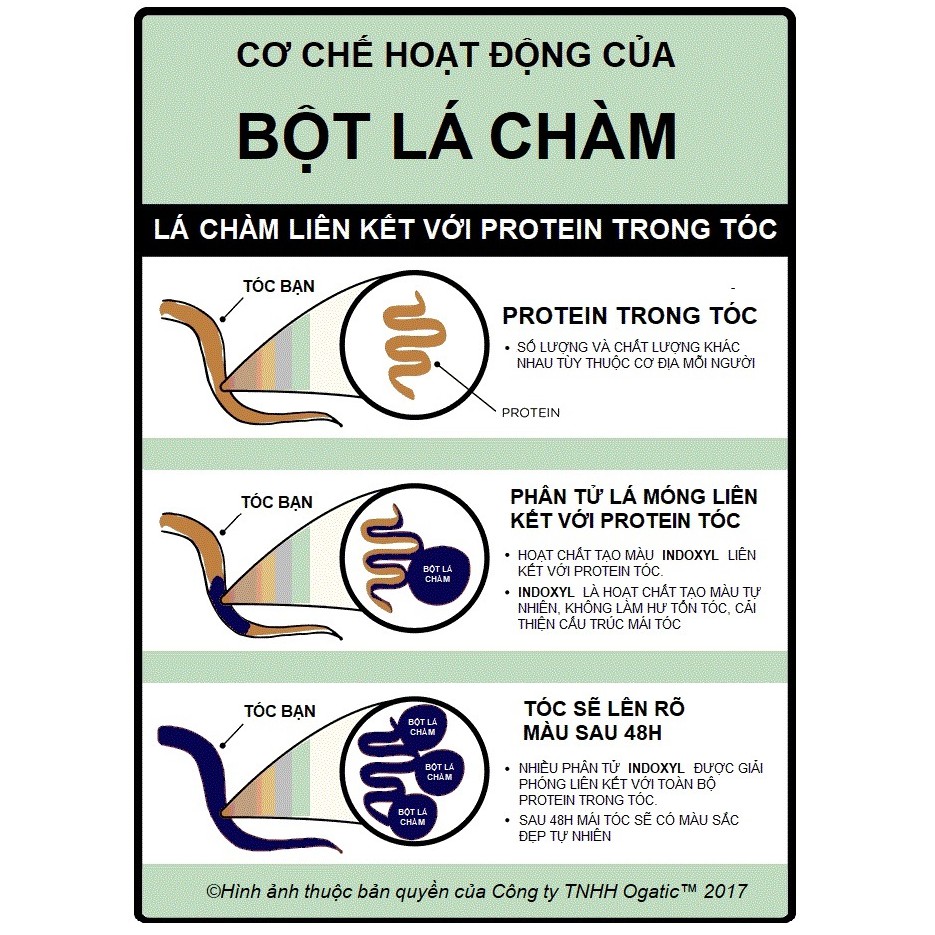 Bột lá nhuộm tóc Ogatic - Màu Xanh Đen (màu Chàm) - 100% từ thảo dược thiên nhiên, không hóa chất ( 50G)