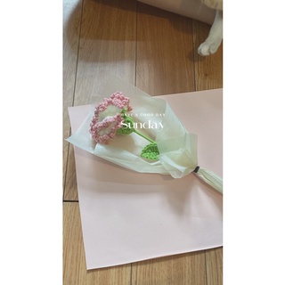 Hoa Cẩm Chướng-Carnation Crochet🌸