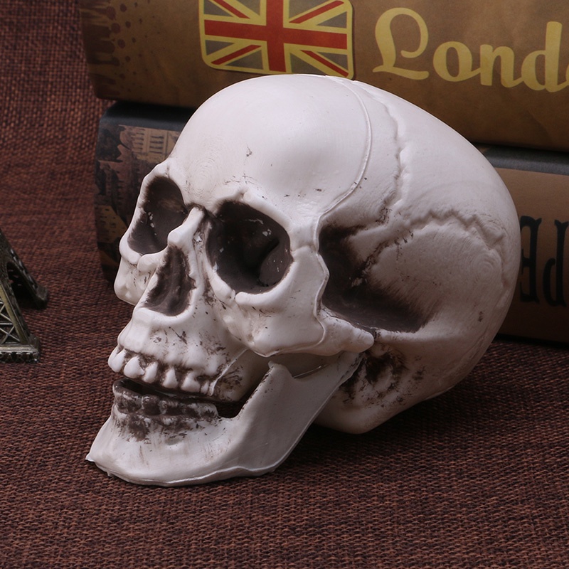 Bộ Xương Người Bằng Nhựa Mini Trang Trí Halloween