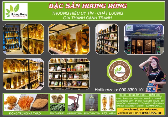 ĐÔNG TRÙNG HẠ THẢO sấy khô 1kg - Đặc Sản Hương Rừng