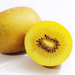 Cây giống kiwi nhập khẩu Newzeland