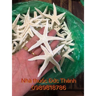 1 con Sao biển ngâm rượu