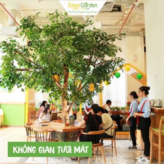 Combo 20 cành lá si giả