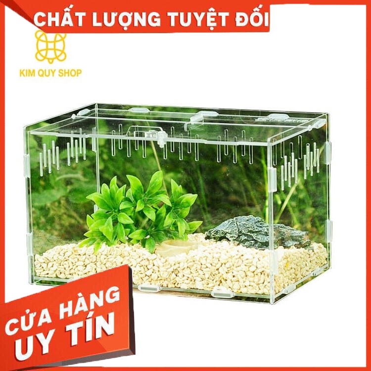 Hộp Mica nuôi bò sát kèm đồng hồ đo nhiệt độ và độ ẩm