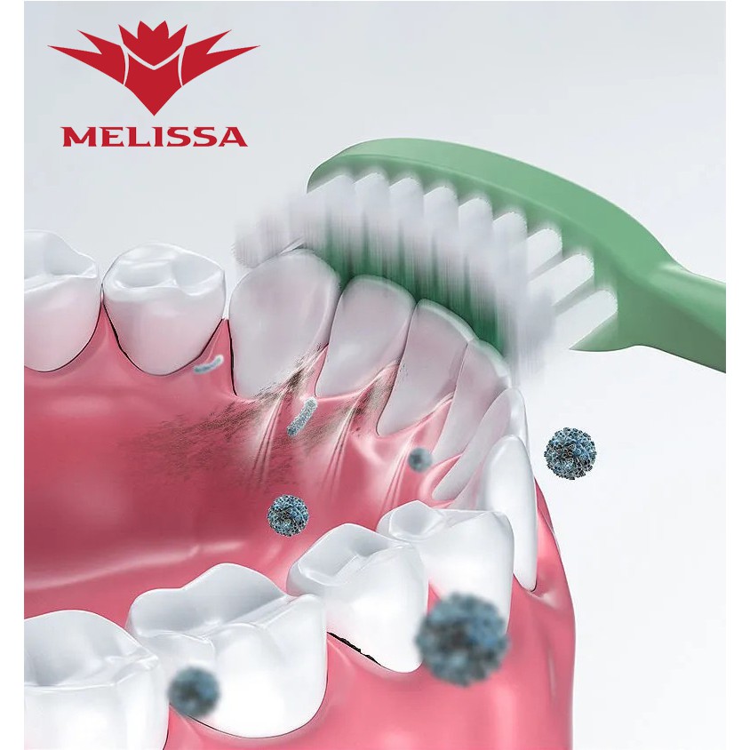 Bàn chải đánh răng điện Melissa Sonicare Toothbrush Premium - Hàng chính hãng bảo hành 2 năm