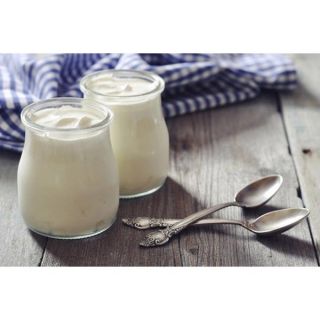 12 hũ làm pudding, sữa chua..
