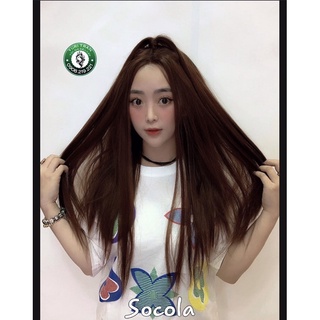 [ẢNH THẬT] Tóc giả nữ chính hãng (Tóc lace siêu da đầu thẳng có 2 màu)
