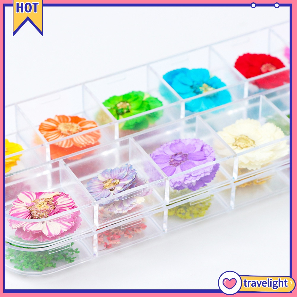(Travelight) Hộp phụ kiện hoa khô trang trí móng tay