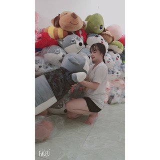Chó Husky Siêu Ngầu