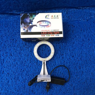 ĐÈN LED TRÒN XML TRẮNG - 3 MÀU KẸP BỂ CÁ