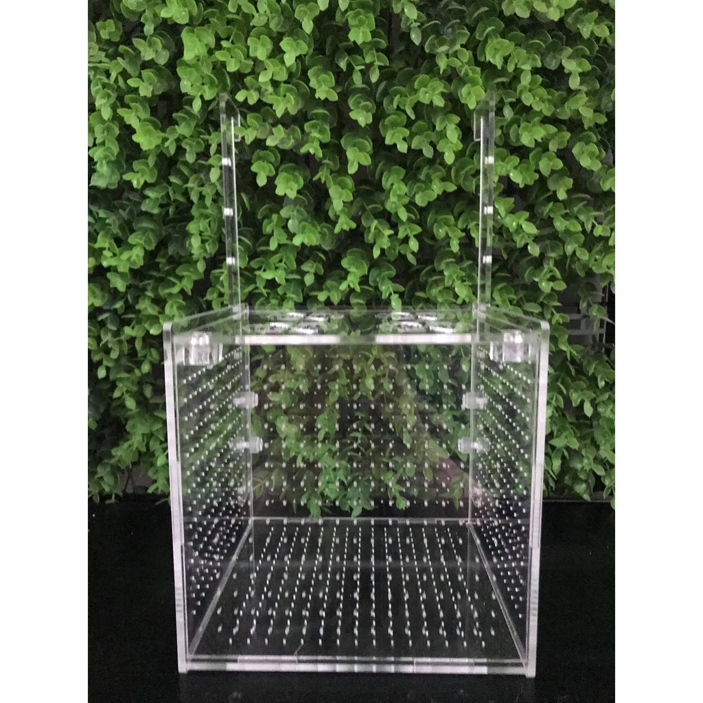 Lồng dưỡng tép, cá/ Lồng tách 15x15x15