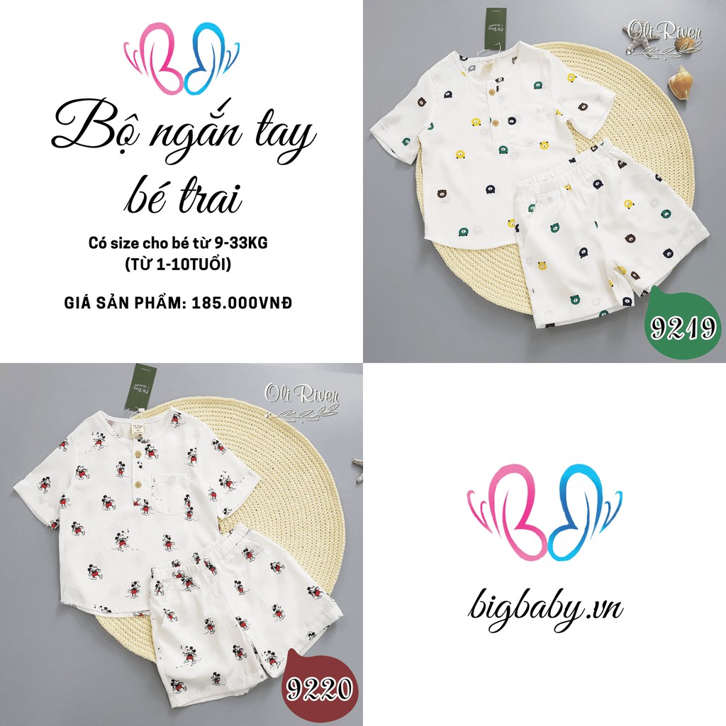 BỘ NGẮN TAY BÉ TRAI NHIỀU HỌA TIẾT CHO BÉ TỪ 9-33KG