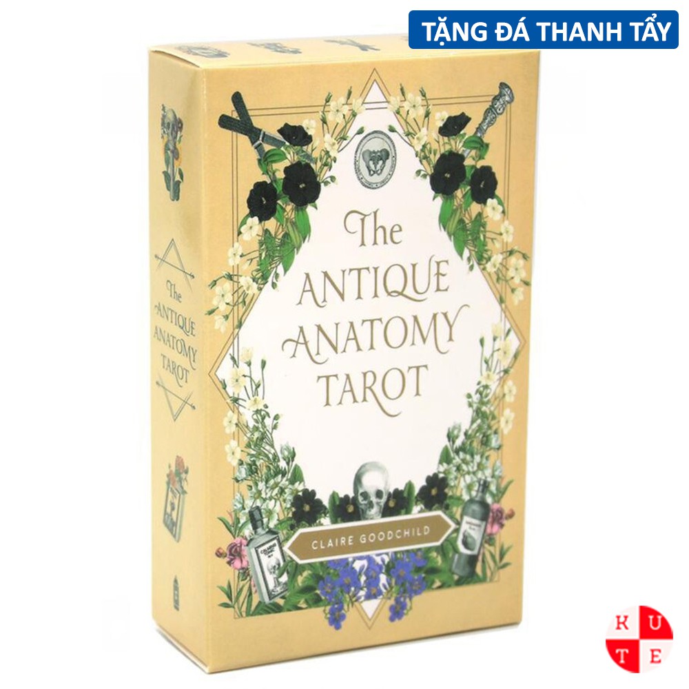 Bộ Bài Tarot The Antique Anatomy 78 Lá Bài Tặng File Tiếng Anh Và Đá Thanh Tẩy C118