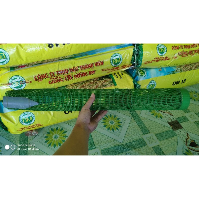 Trúm lươn lưới nhựa đời mới