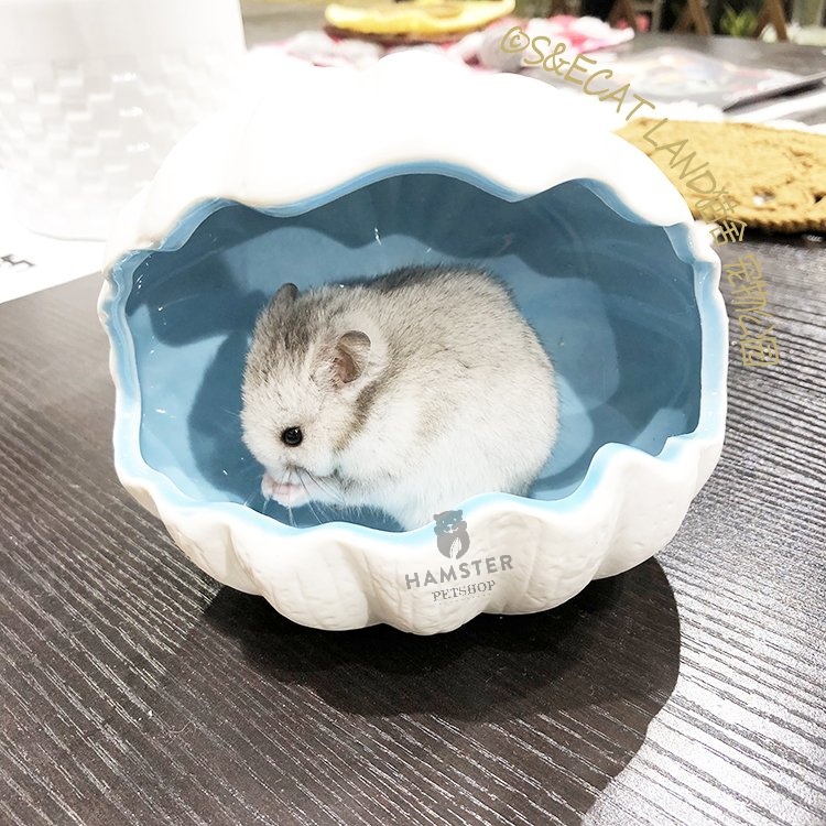 Nhà ngủ vỏ sò cho hamster, sóc, nhím,chinchilla