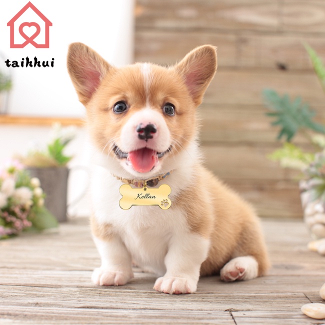 Cá nhân hóa Cổ áo Thẻ ID Vật nuôi Khắc Tên ID Vật nuôi Mèo Con chó Cún con Tag Mặt dây Chìa khóa Vòng khóa Xương Thẻ Phụ kiện Vật nuôi Cửa hàng phụ kiện
