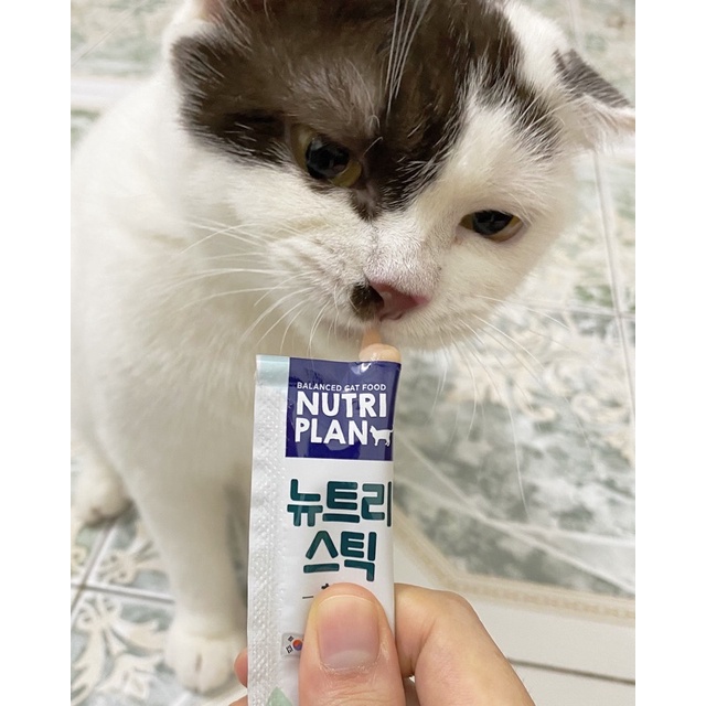Súp thưởng Nutri Plan Stick cho mèo túi 4 thanh