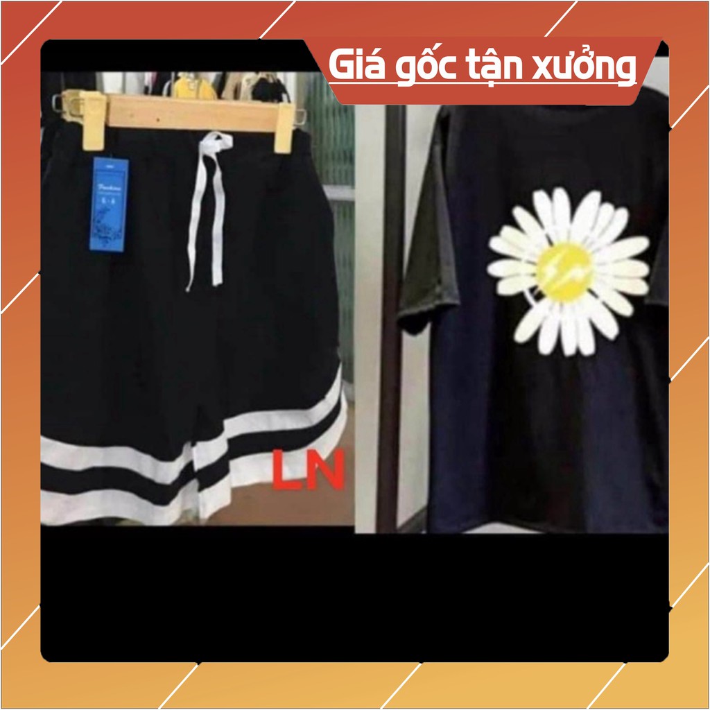 Sét áo hoa cúc tia sét + quần đùi V