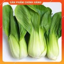 HẠT GIỐNG CẢI CHÍP CAO SẢN