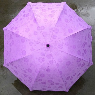 ô nở hoa( gặp nước  nở hoa)