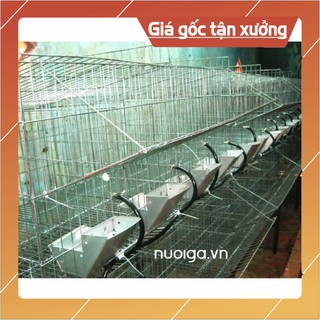 MÁNG ĂN CHO THỎ Bộ 5 MÁNG